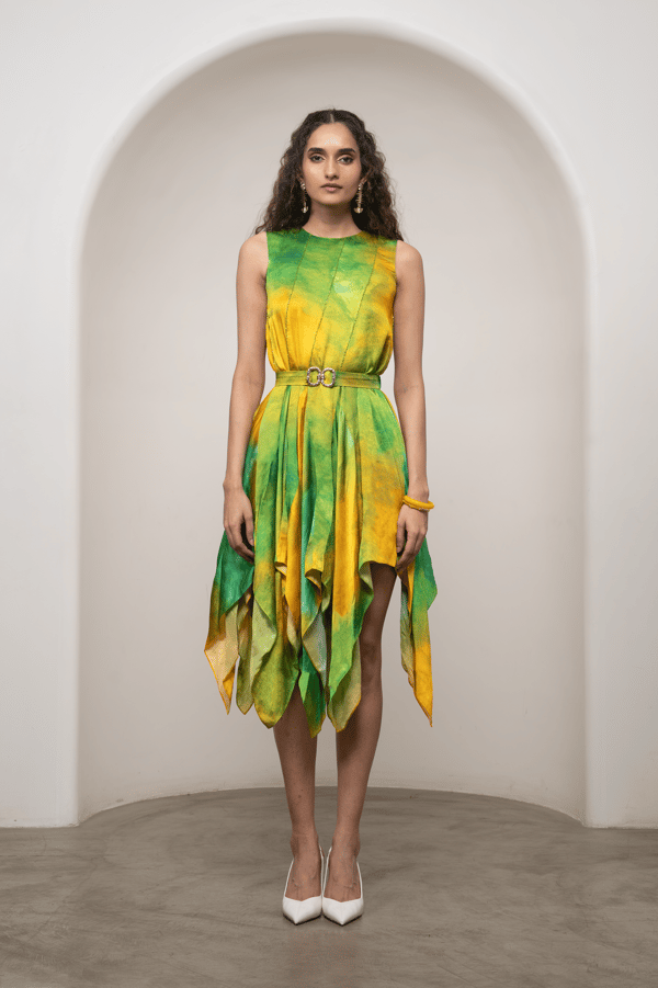 Lira Tinkerbell Dress — ADVAIT