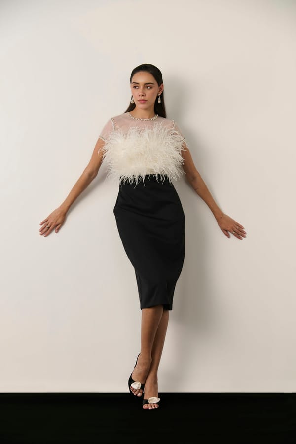 Ivory/Black Feather-Embellished Sheath Midi Dress — Label IRIS