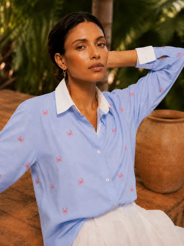 Sky Blue Cotton Shirt with Embroidered Motifs — AARI