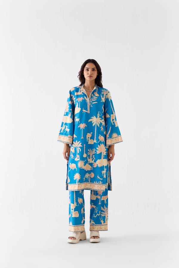 Blue Printed Kurta and Pants Co-ord Set — Studio Rigu