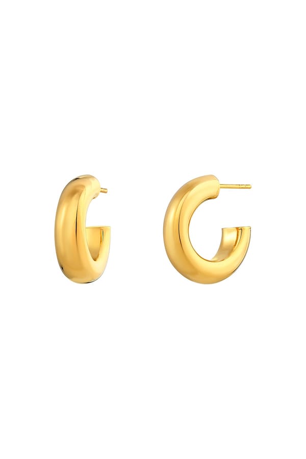 Chunky Small Hoop Earrings — Miss Jo