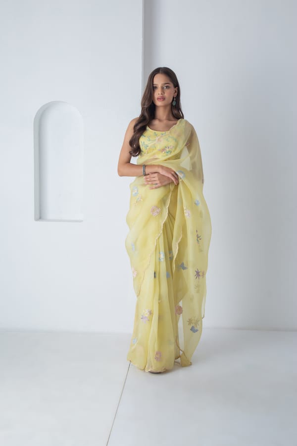 Kahlei Saree — Chhaya Mehrotra