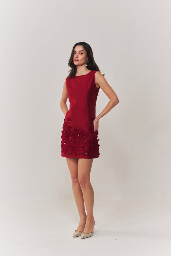 Valentina Embroidered A Line Dress — HOUSE OF HEATHER