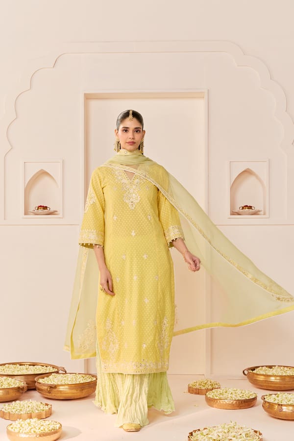 RUHANI - LONG KURTA WITH SKIRT AND DUPATTA — Sheetal Batra