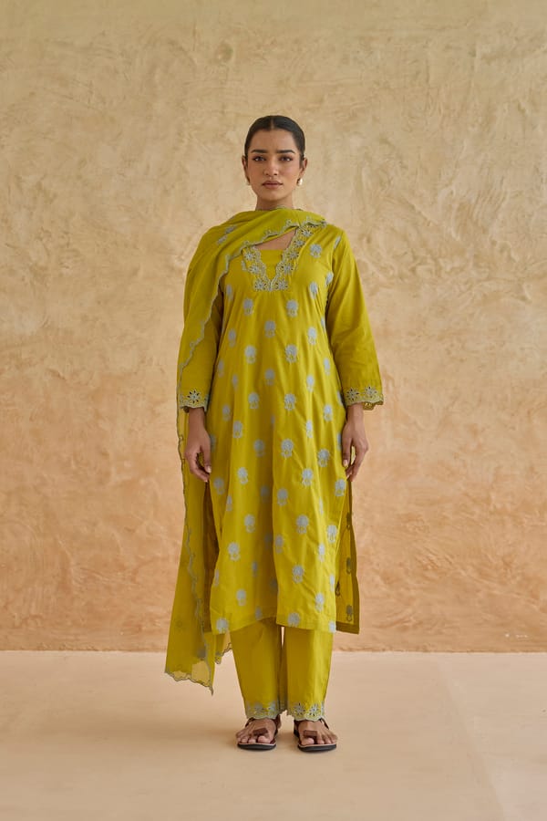 Yellow/Blue Printed Straight Kurta Set with Embroidered Yoke — CHHIPA JAIPUR