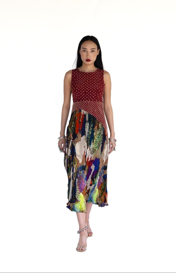 Rangli Dress — AMKA