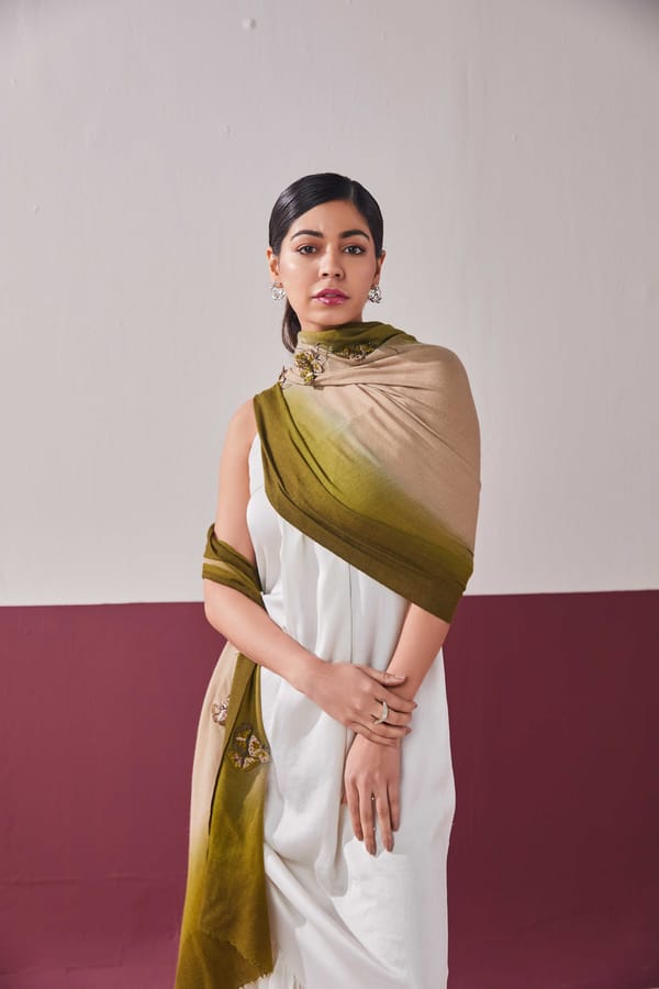 Butterfly Mania Pashmina Stole — Shaza