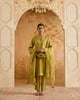 Olive Grove Dupatta Green color