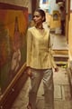 Shimmer Brocade Pant Silver color