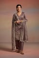 Bhaavi Metallic Gray color