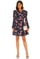 Picnic Dress Blue color
