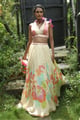 Beige Lehenga Sets Beige color