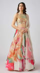 Embroidered Lehenga Set with Dupatta Multicolor color