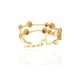 The Garnet Gold color