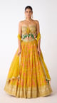 The Amber Radiance Lehenga Set Yellow color