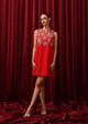 Rosette Mini Dress Red color