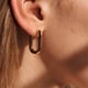 Oval Box Earrings Gold color