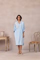Solaris Applique Dress Frost Blue color