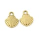 Gold Shell Gold color