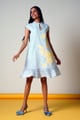 Wintel Soft Fern Short Dress Ice Blue color