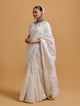 Cotton Saree - Gulabo by Abu Sandeep - Image 1