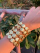 Mirage Oval Stacking Bracelet (Set of 5) Gold color