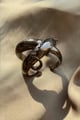 Kefi X Ring Chrome color