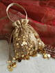 Mirror Potli Bag Silver color