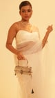 Surmay Bag Silver color