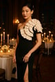Formal Dinner WITHOUT_LAYERING image 0