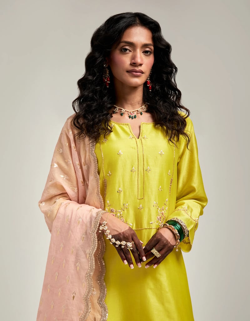 Zari Motifs Dupatta With Lace