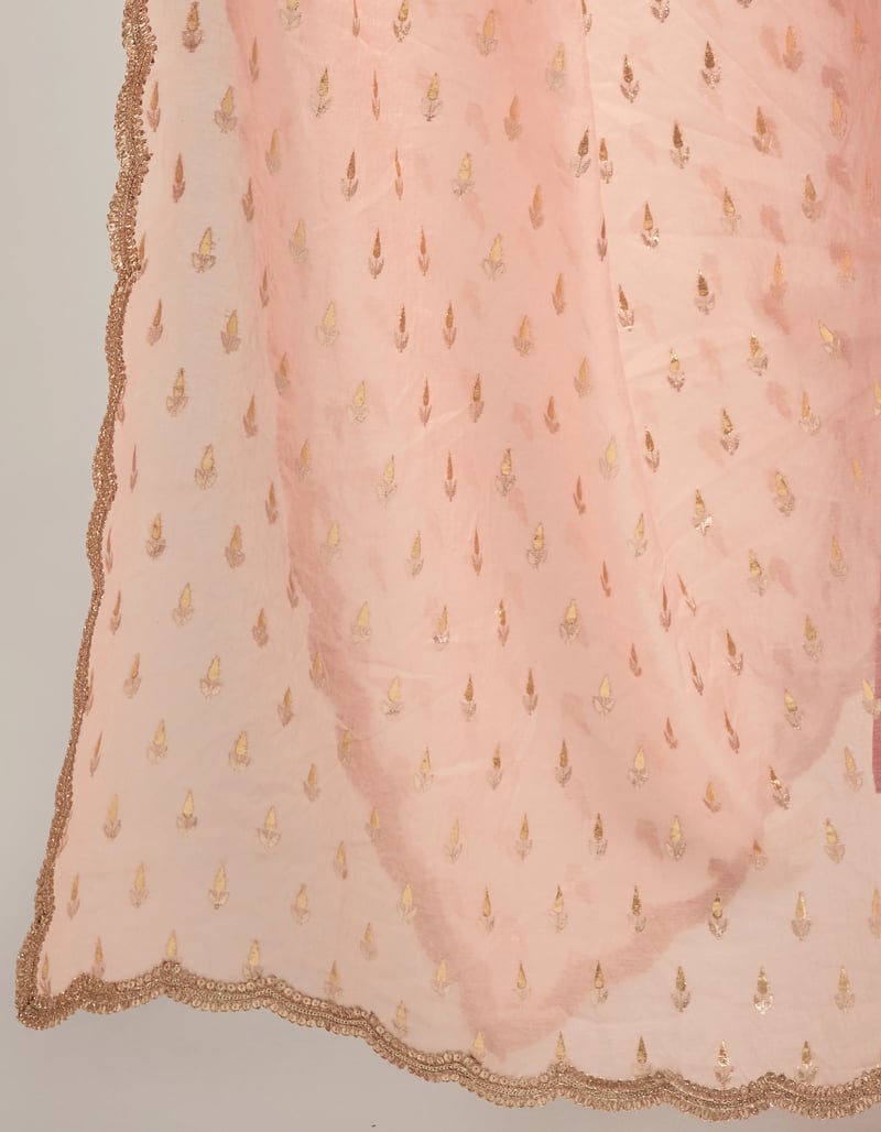 Zari Motifs Dupatta With Lace