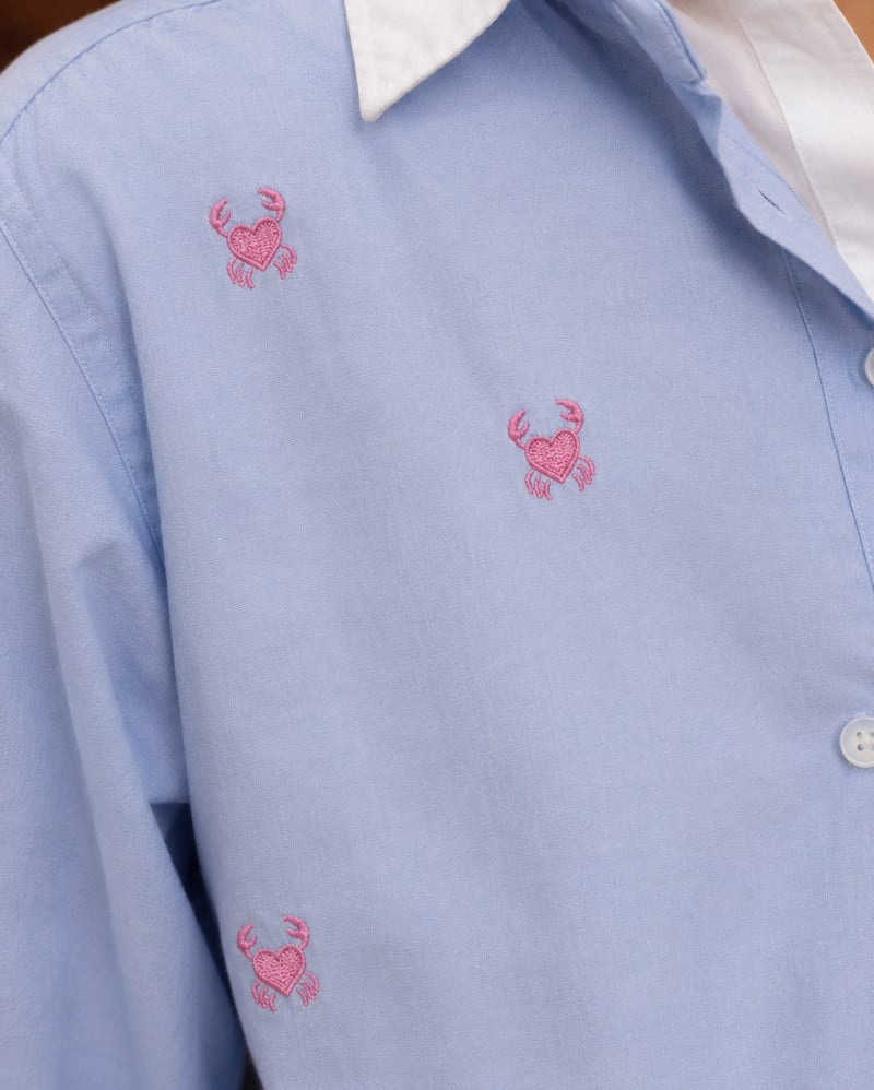 Sky Blue Cotton Shirt with Embroidered Motifs