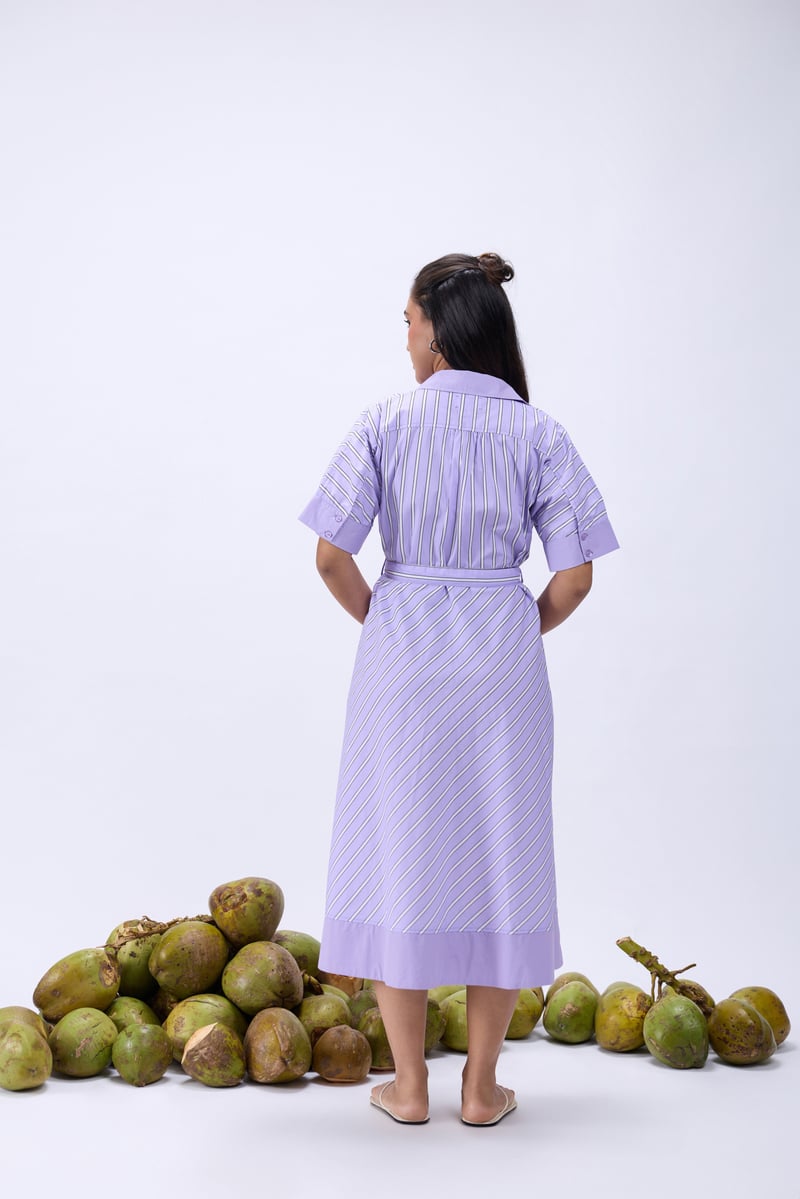 Lavender Striped Cotton Poplin Belted Midi Shirt Dress