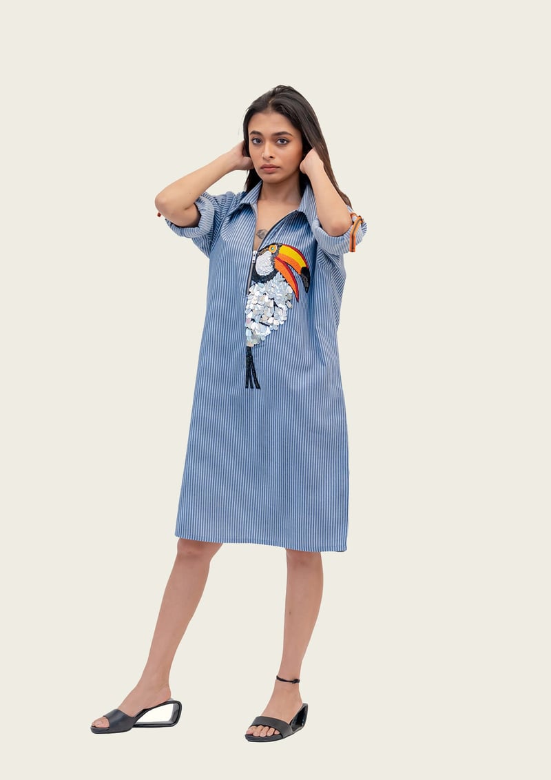 Blue and White Stripe Cotton Dress with Embroidery