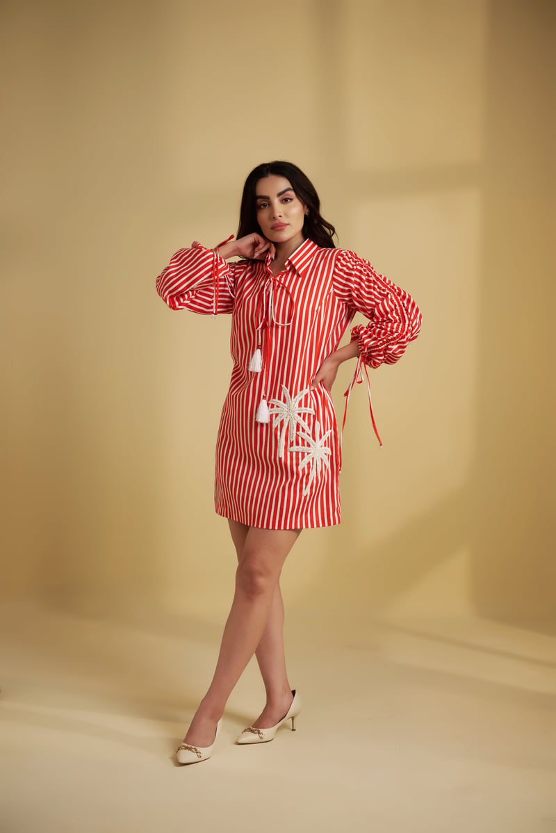Red and White Striped Mini Shirt Dress with Palm Motif