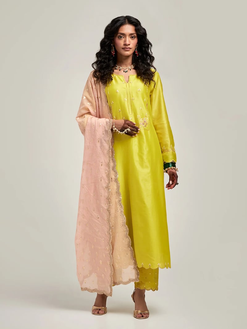 Zari Motifs Dupatta With Lace