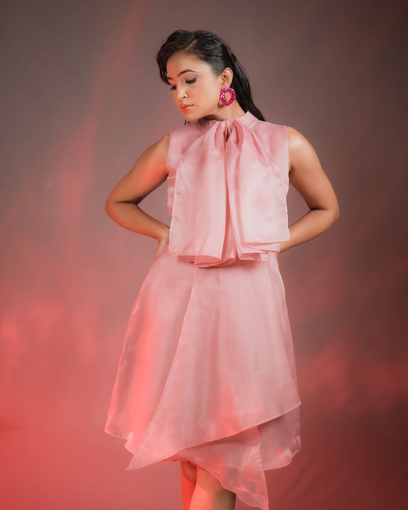 Pink Organza Overlay Bow-Neck A-Line Knee-Length Dress