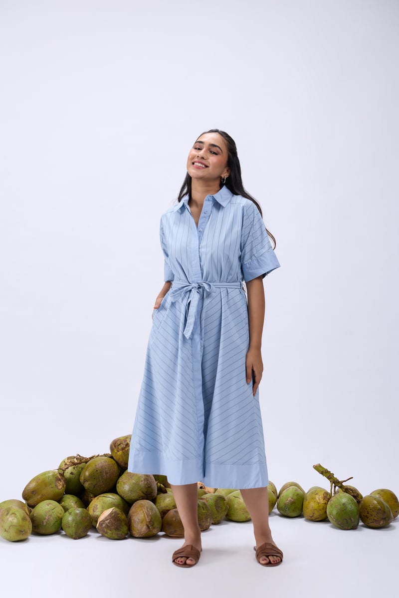 Blue Striped Cotton Poplin Midi Shirt Dress with Belt