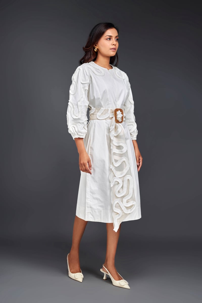 MIDI DRESS WITH PLEATED FRILL DETAILING ON SLEEVES COMES WITH BELT