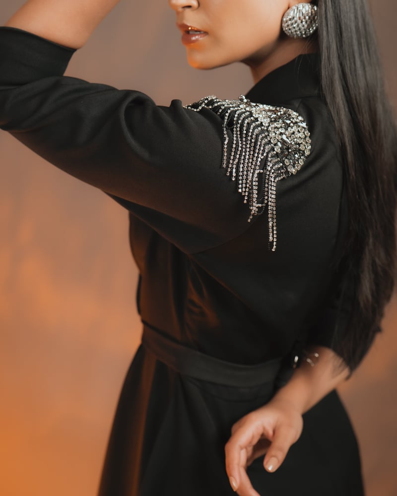 Black Fit and Flare Dress with Embellished Shoulders