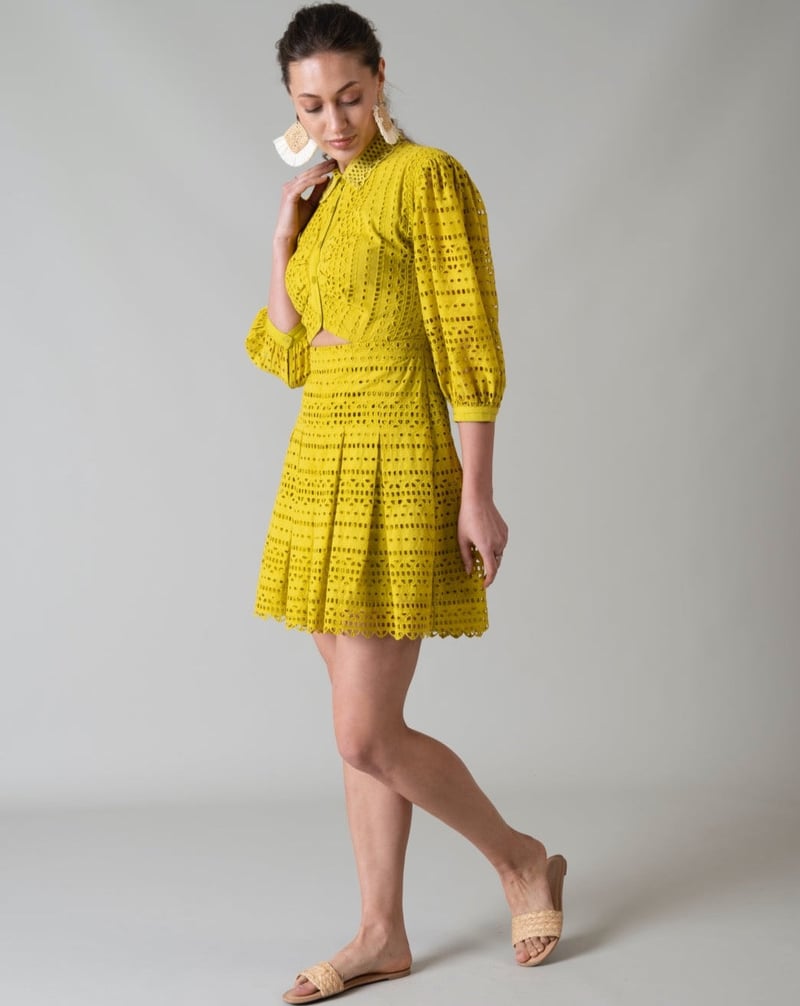 Lime Green Schiffli Cutwork Fit and Flare Mini Dress