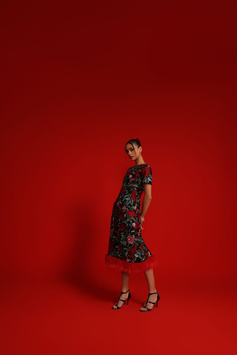 Black/Red Rose Embroidered Mesh Sheath Midi Dress