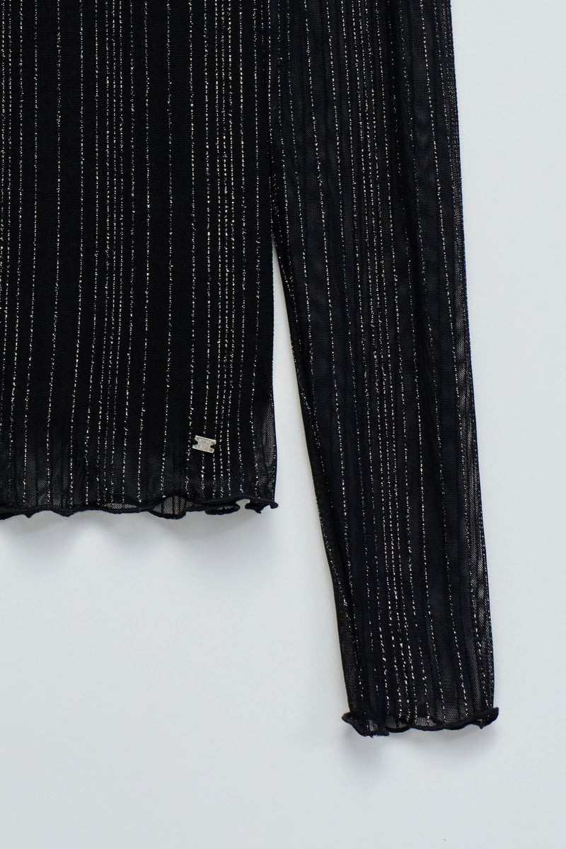 Black Shimmer Mesh Round Neck Full Sleeve Top