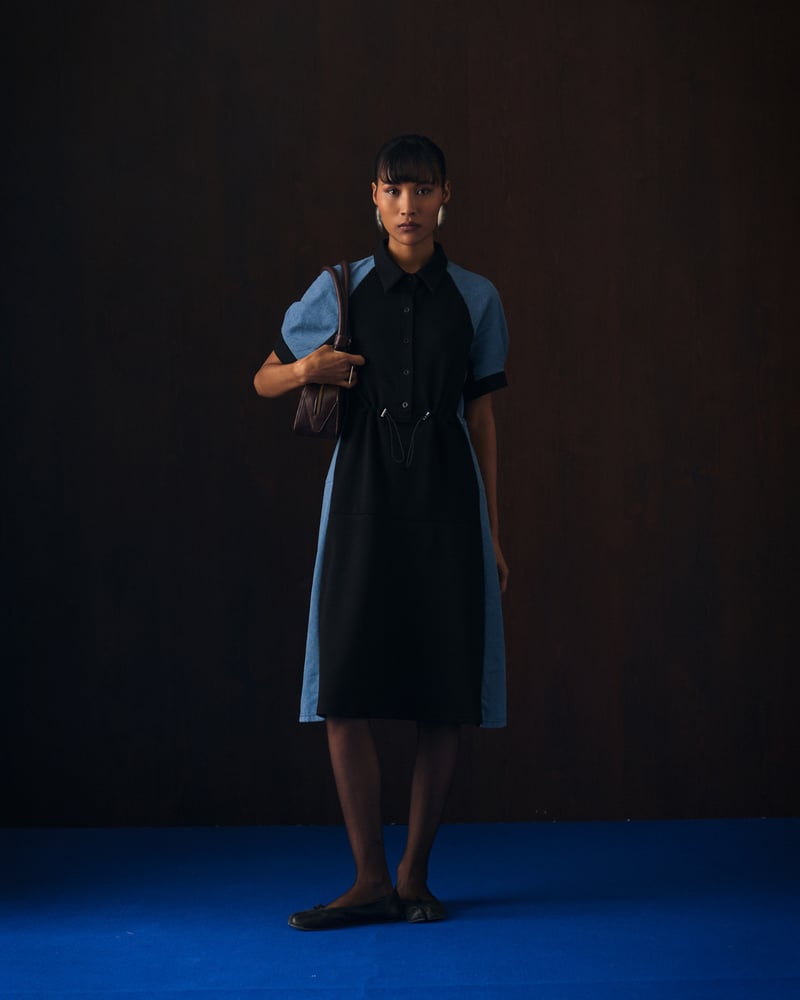 Imanis Dress — Aruni