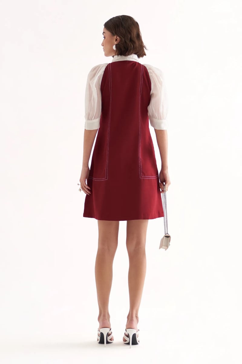 Plum A-Line Mini Dress with Sheer Sleeves and Embroidery