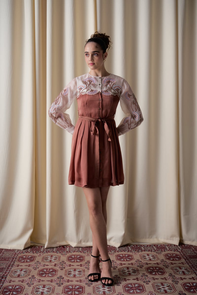 Mocha Fit and Flare Dress with Sheer Embroidered Yoke
