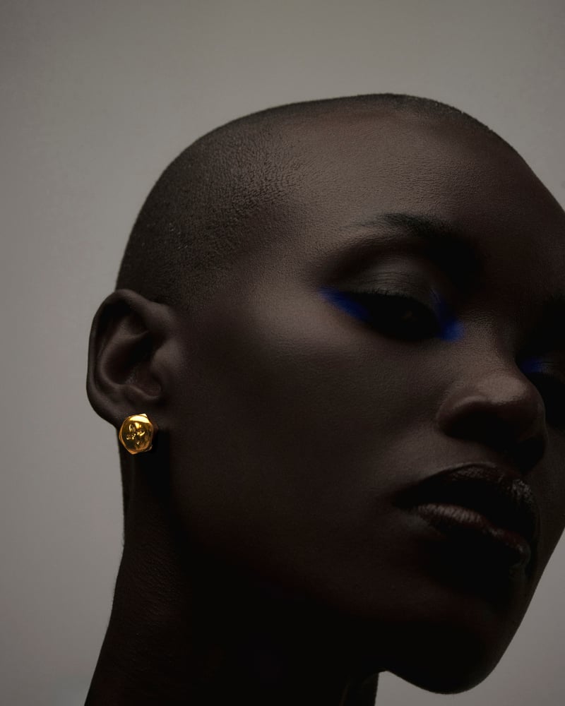SCREW STUDS — Anaash