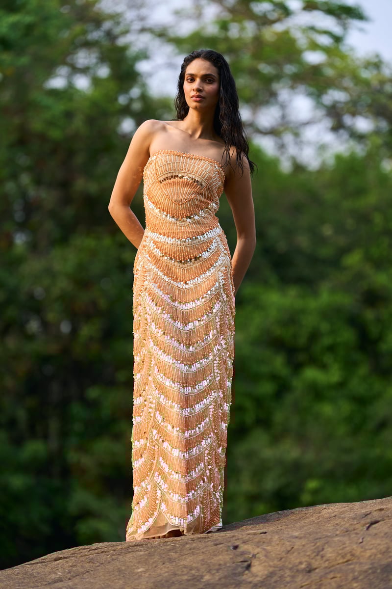 Pearl Embroidered Gown