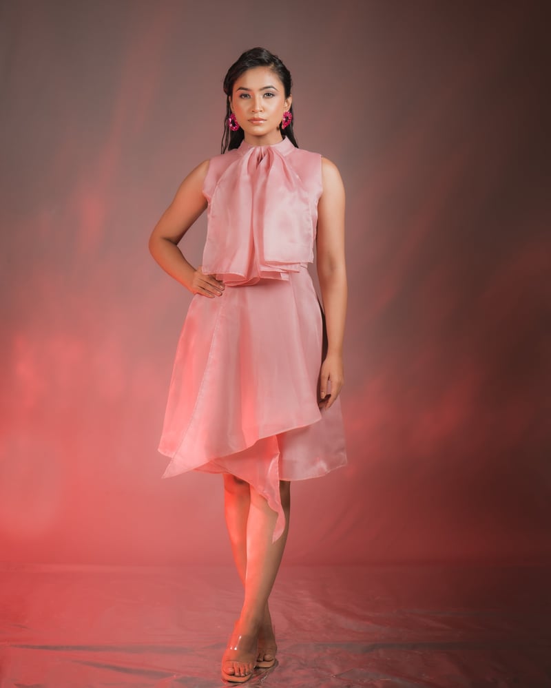 Pink Organza Overlay Bow-Neck A-Line Knee-Length Dress — Darling Girl